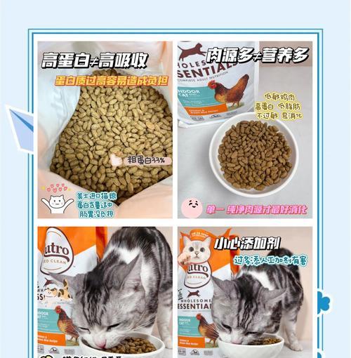 猫反复拉肚子不吐?猫粮选择有误吗?