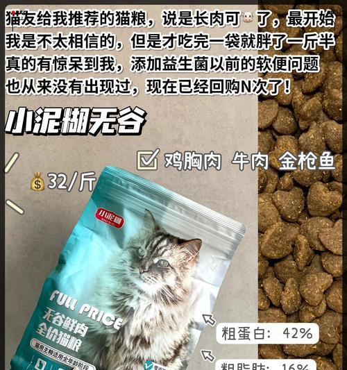猫粮搭配什么好消化?