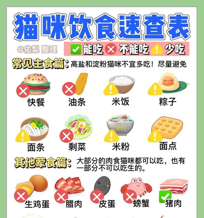 如果猫回老家不喂猫粮会发生什么?如何确保猫咪饮食健康?