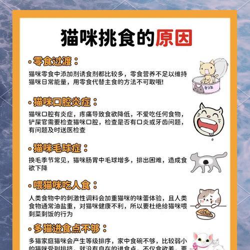 猫咪为何会挑剔猫粮并咬人?