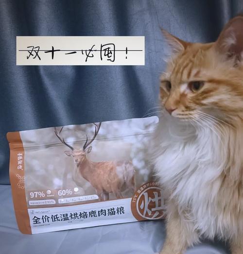 猫咪为何对猫粮不感兴趣?