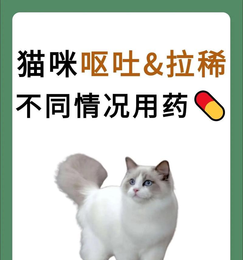 猫吐水还有粮怎么回事吃什么药?需要带去看兽医吗?