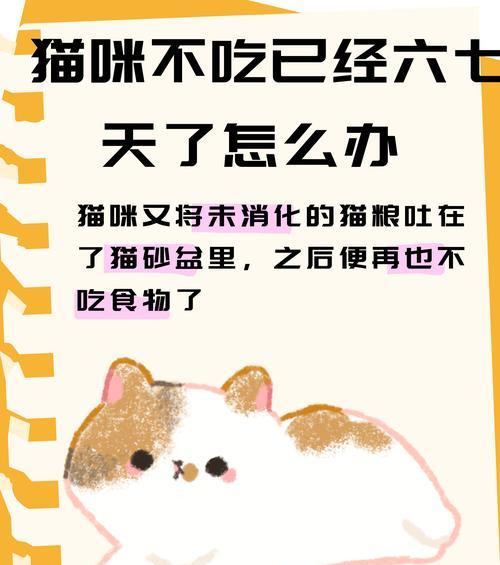 为何猫咪不爱吃拌有益生菌的猫粮?