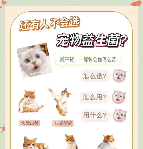 猫粮肠胃调理益生菌的正确使用方式?