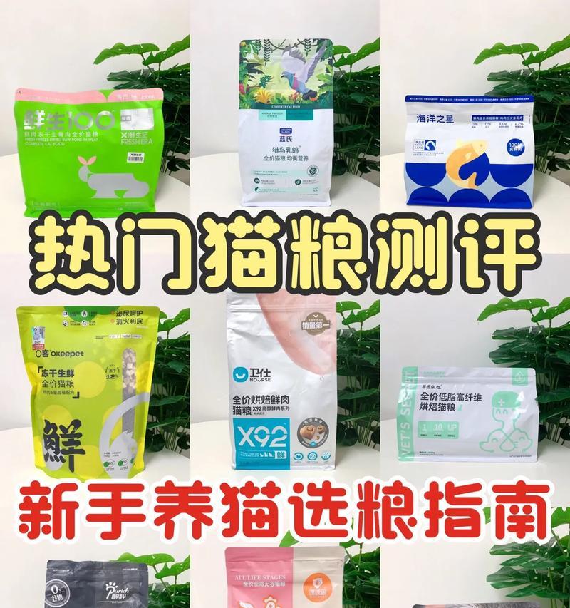 什么样的猫粮最好吃?如何为猫咪选择?