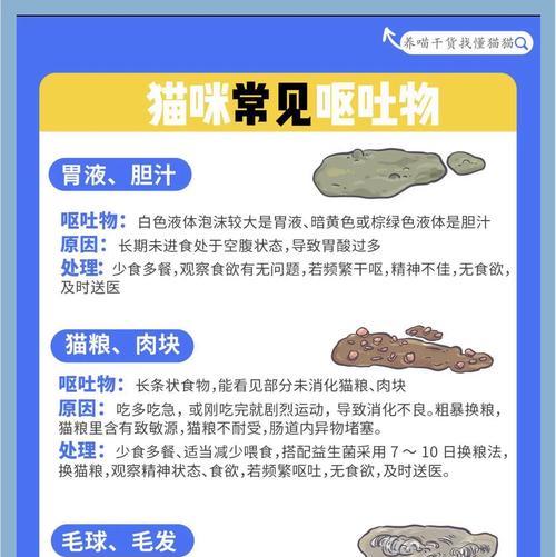 猫咪吐猫粮是什么原因？如何预防和处理这一问题？