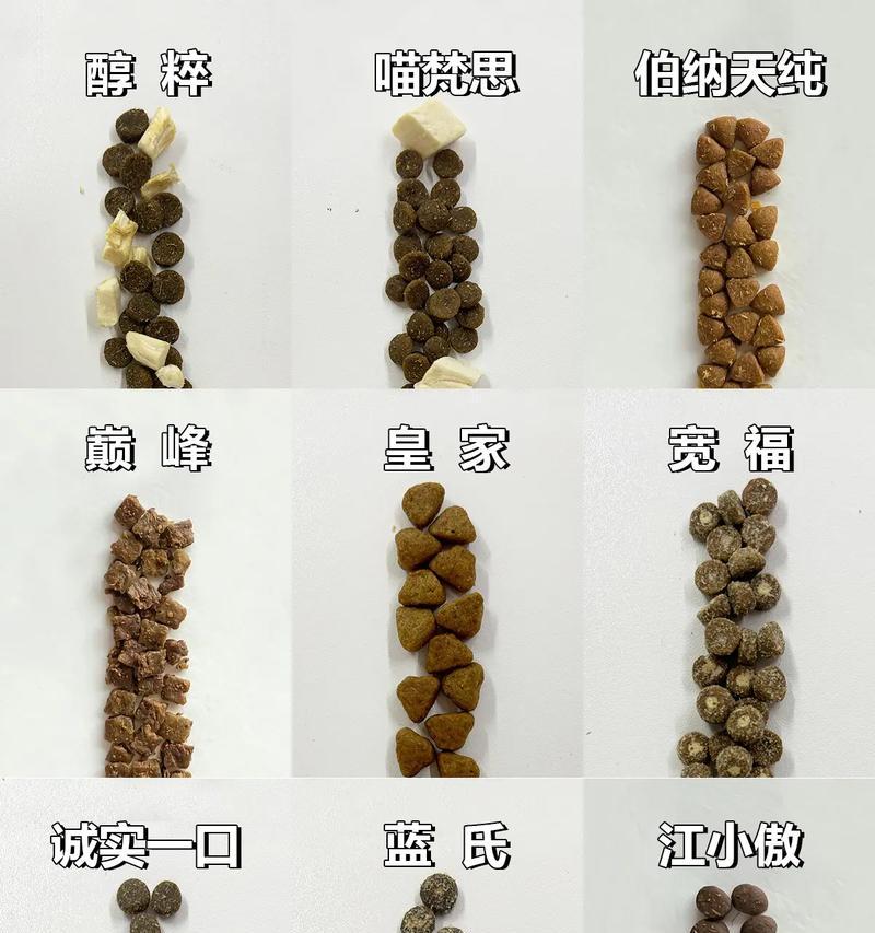 50天无毛猫适宜的猫粮有哪些?喂养建议是什么?