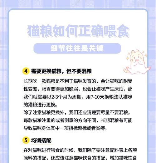 一岁以内猫咪应该喂食幼猫粮吗?如何喂养?