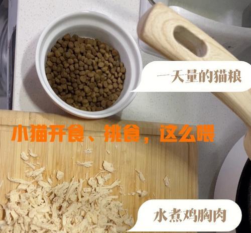 如何正确喂食猫咪开食猫粮?