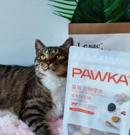 猫咪不吃猫粮疯狂扒拉怎么办?如何解决这个问题?