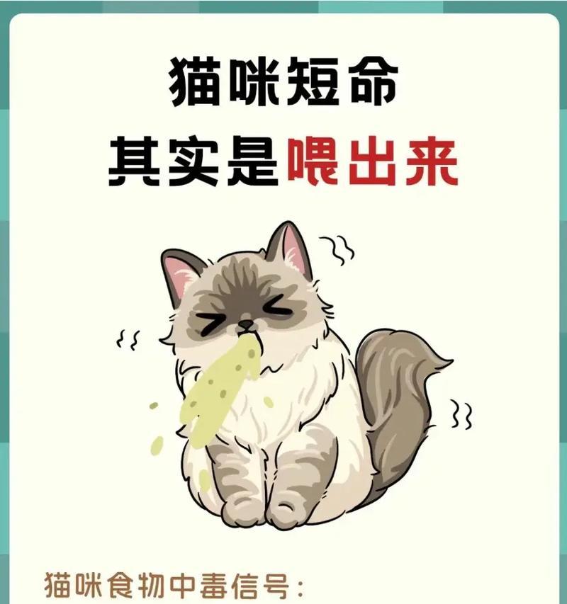 养小猫咪非得吃猫粮吗?不喂猫粮的替代方案是什么?