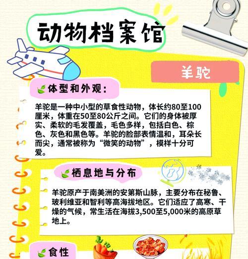 羊驼名字肉串是否合适?背后有何寓意?