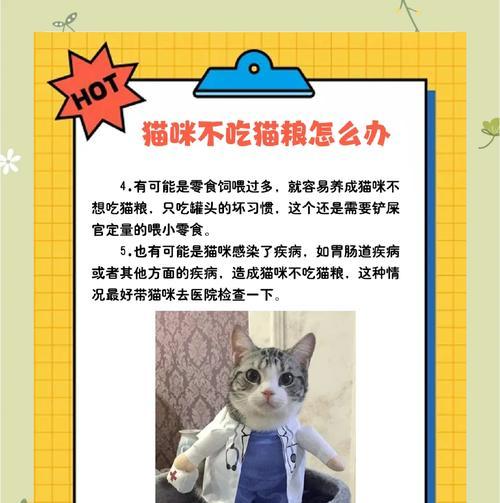 猫咪不吃旧猫粮怎么办?如何让猫咪接受新猫粮?