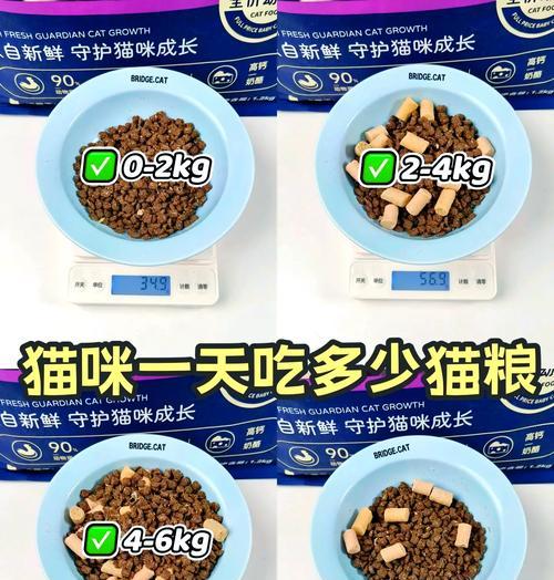 成猫吃幼猫奶糕粮是否合适?正确的喂食方法是什么?