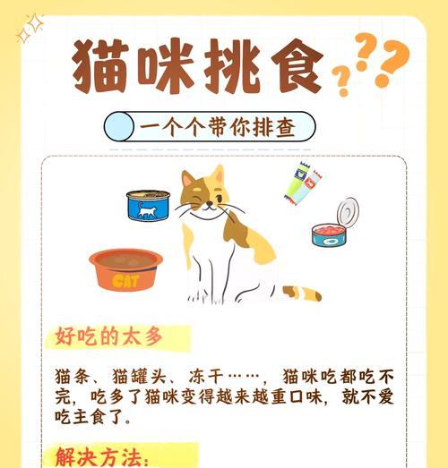 残废猫吃猫粮后应如何处理?