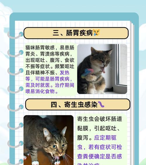 猫吃鱼粮为什么会吐?这是什么原因导致的?