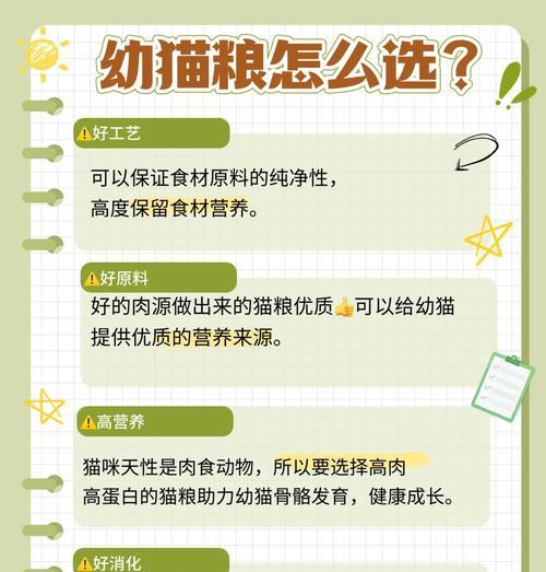 幼猫怎么喂养没有猫粮长期?长期喂养幼猫的替代方案是什么?