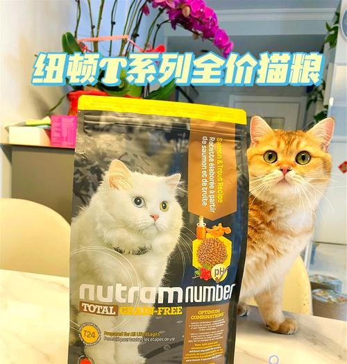 四个月吃什么进口猫粮比较好？推荐哪些进口品牌？