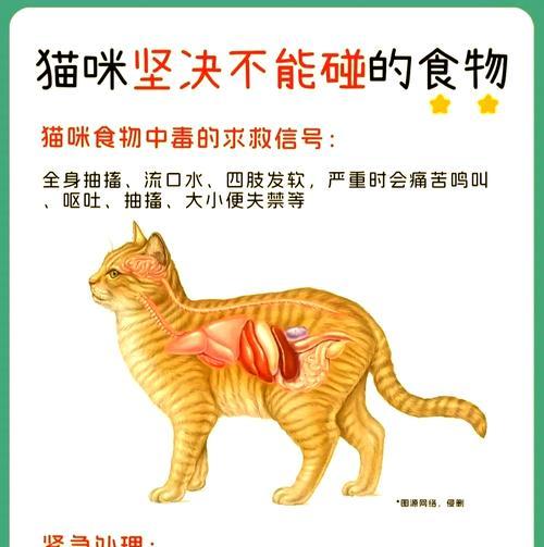 猫咪为何会在最后一口猫粮时停止进食?