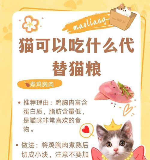 除了猫粮,猫咪还可以吃哪些食物?