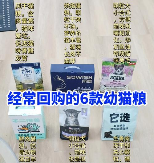 德牧发情多少天血多?如何处理发情期问题?
