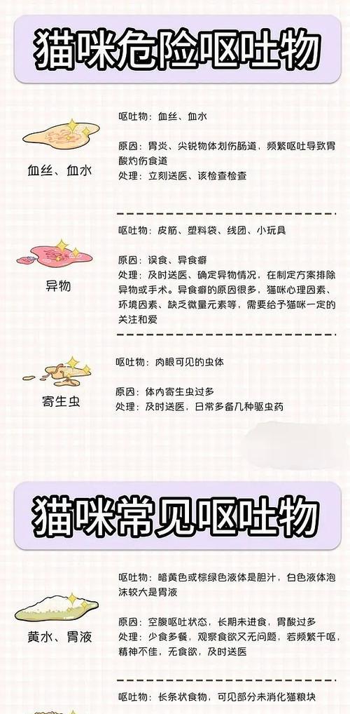 猫咪吐出猫粮后为何有黄水?可能的原因是什么?