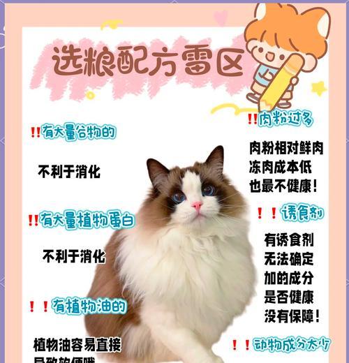 哪些成分有助于猫咪美毛?如何选择合适的美毛猫粮?