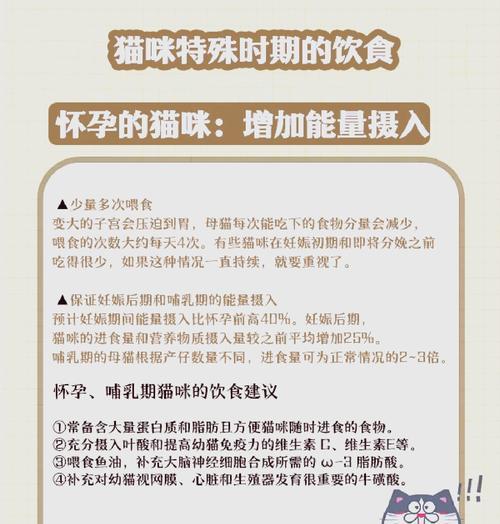 猫咪怀孕期间偏爱猫粮是何原因?