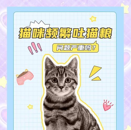 小猫咪咳嗽吐猫粮?可能的原因和应对措施是什么?