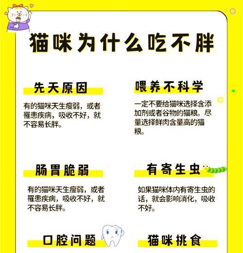 猫只吃猫粮不吃肉是为什么?