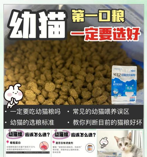 猫粮机没粮了如何加水?操作步骤是怎样的?