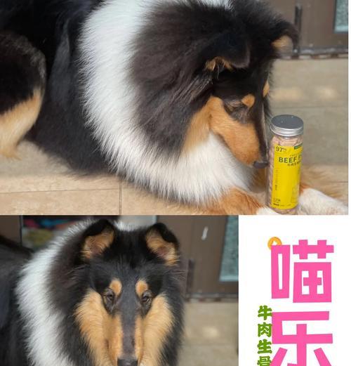 去骨羊驼肉的烹饪方法有哪些?
