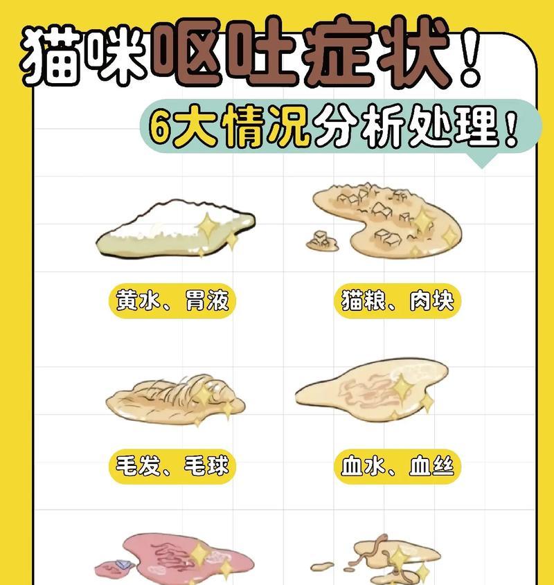 猫吃硬粮后吐血是致命的吗?可能的原因是什么?