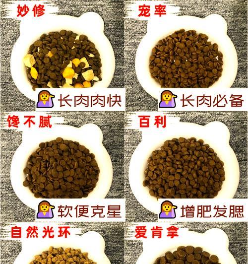 如何制作板砖形状的猫粮收纳?这样做有什么好处?