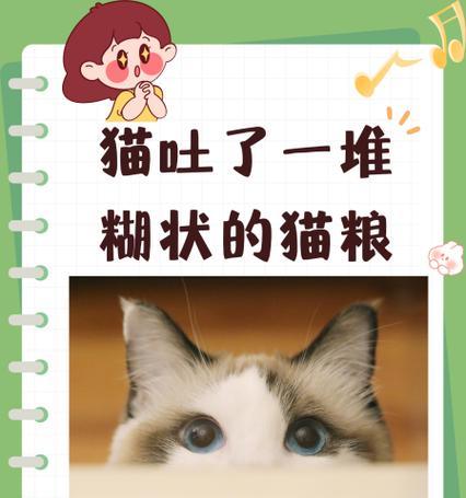 猫为何会吐出整颗猫粮?
