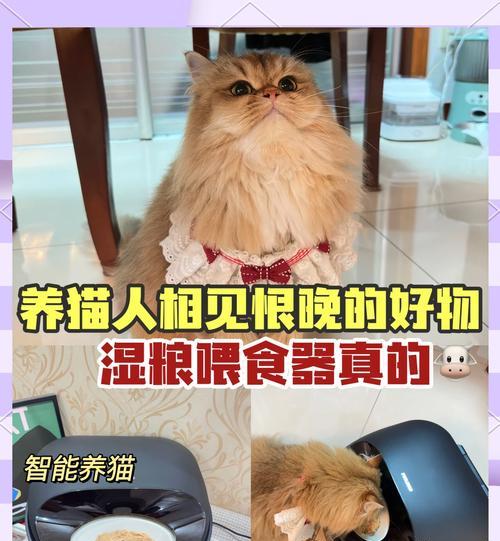 自动猫出粮器的使用方法图解是什么?