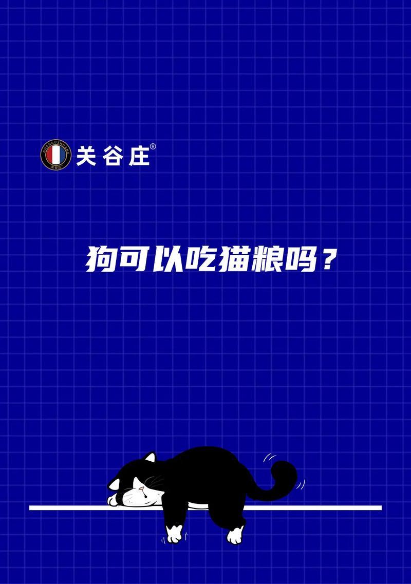 小狗偷吃猫粮怎么办?如何训练它避免这种行为?