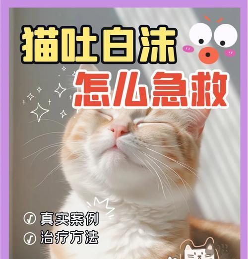 猫咪呕吐白沫是何原因?