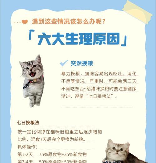 小猫突然停止吃猫粮的原因是什么?