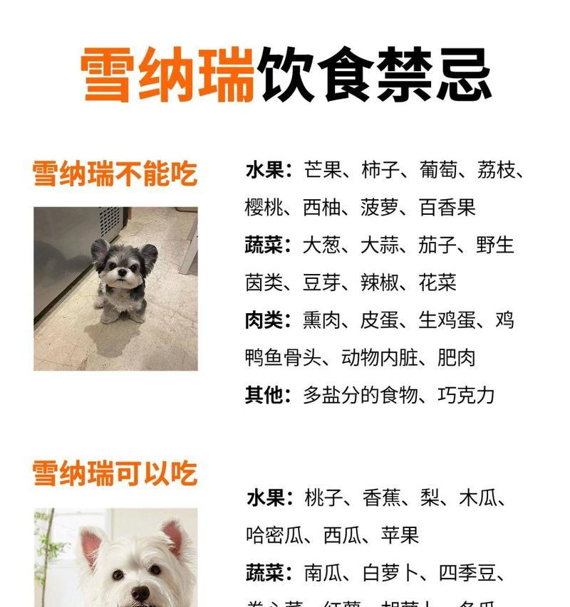 雪纳瑞吃多少鱼油?雪纳瑞日常补充鱼油的正确量是多少?