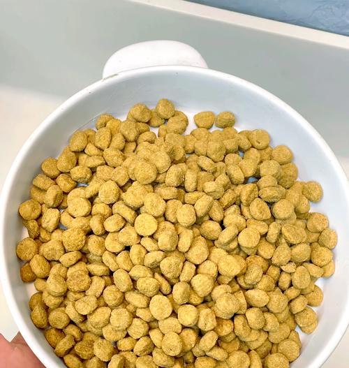 如何制作狗狗的烘焙粮?有哪些步骤和注意事项?