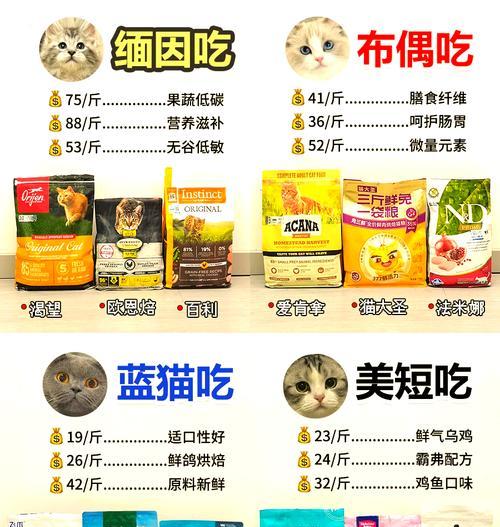 小布偶猫粮喂养方法是什么?需要注意哪些事项?