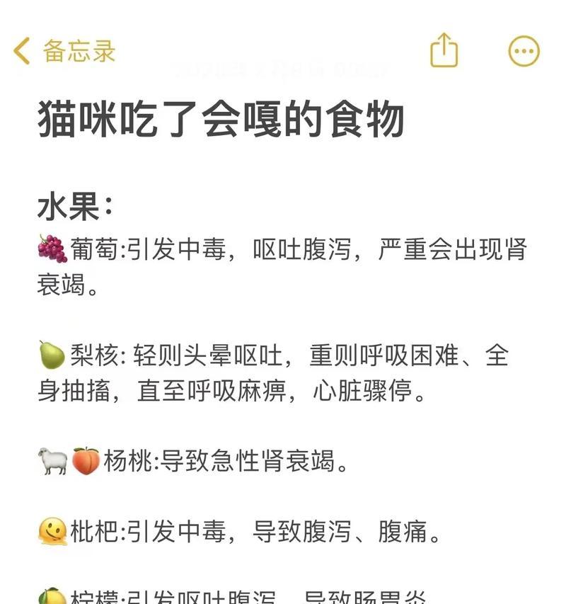 猫咪不吃猫粮时会发出什么信号?如何理解猫咪的饥饿语言?