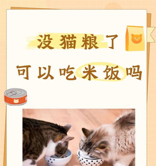 猫咪害怕猫粮不吃食怎么办?