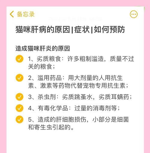 猫粮导致猫肝炎吗?如何治疗?
