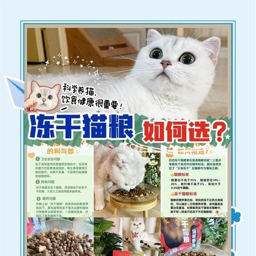 猫粮为何不能与冻干搭配?这种搭配的潜在风险是什么?