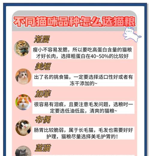 怎么申请猫粮系统账号呢?注册和使用猫粮系统账号的步骤是什么?