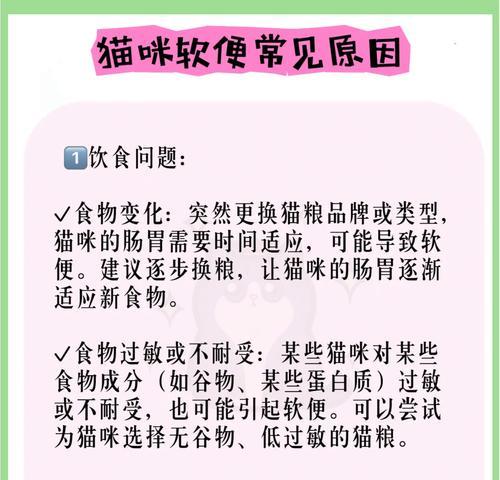 猫咪吃猫粮后软便怎么办?如何改善这个问题?