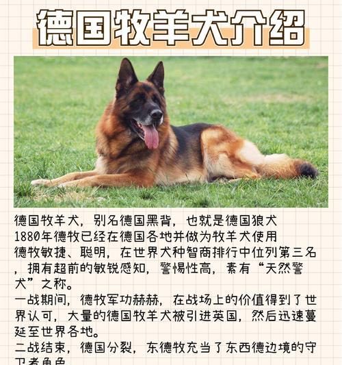 退伍德牧是否有补贴?补贴的具体金额是多少?