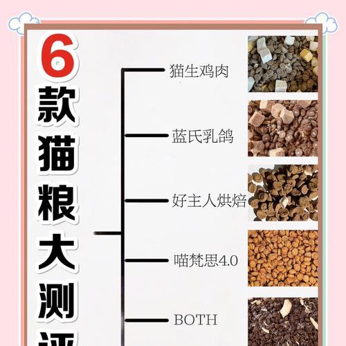 野猫专用猫粮有哪些特点?如何选择适合野猫的猫粮?